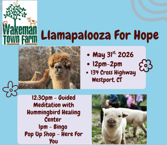 IN PERSON: Llamapalooza for Hope in Westport, CT