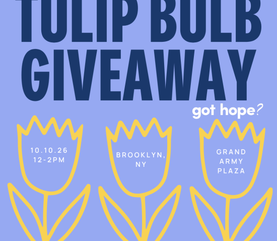 IN PERSON: NYC Tulip Bulb Giveaway on 10/10