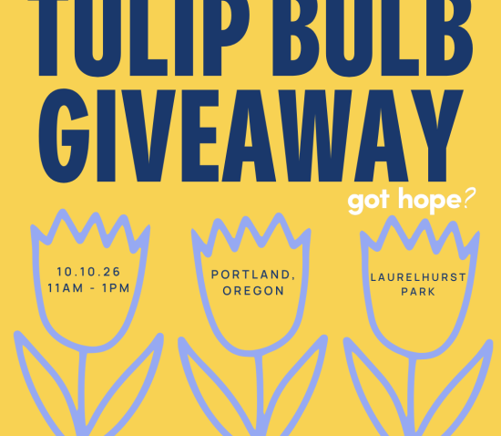 IN PERSON: Portland, Oregon Tulip Bulb Giveaway on 10/10